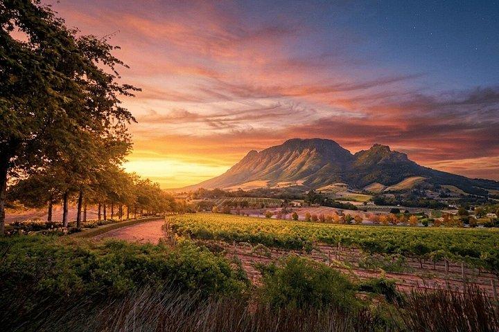Stellenbosch Wine Tour : Guide audio GPS autoguidé