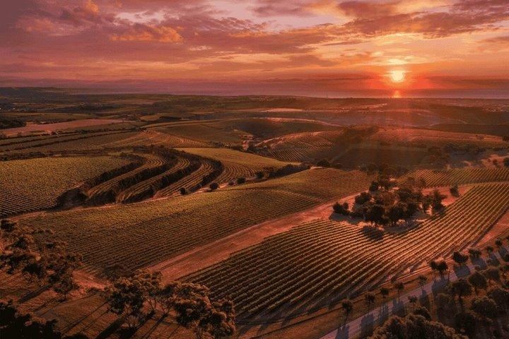 McLaren Vale Wine Tour - Self-Guided GPS Audio Guide