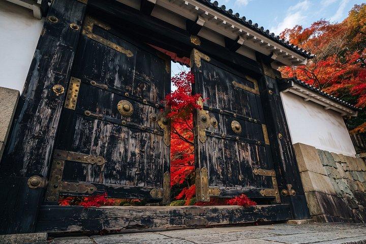 Early Bird Kyoto : 伏見稲荷、二条城＆ゴールデンパビリオン