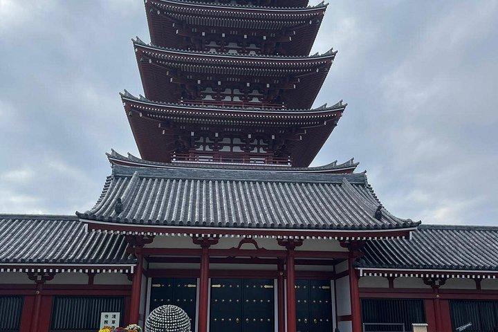 東京プライベートツアー：英語ドライバー付きカスタム日帰りツアー