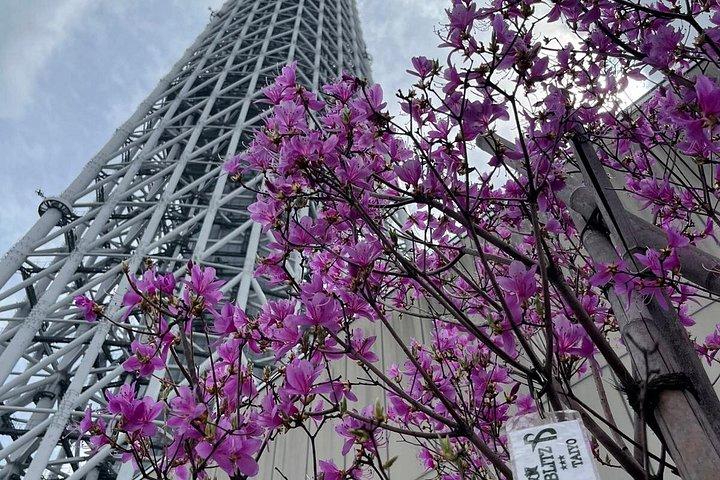 東京プライベートツアー：英語ドライバー付きカスタム日帰りツアー