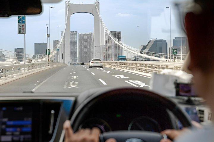 Tokyo Layover Private Tour with Airport Pickup & Drop-Off