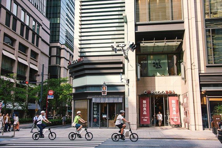 秋葉原からベイエリアまでプロガイドと行く東京Eバイクツアー
