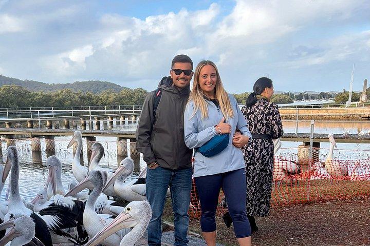 オーストラリアの爬虫類公園オプション付き、シドニーからのセントラル コースト プライベート ツアー