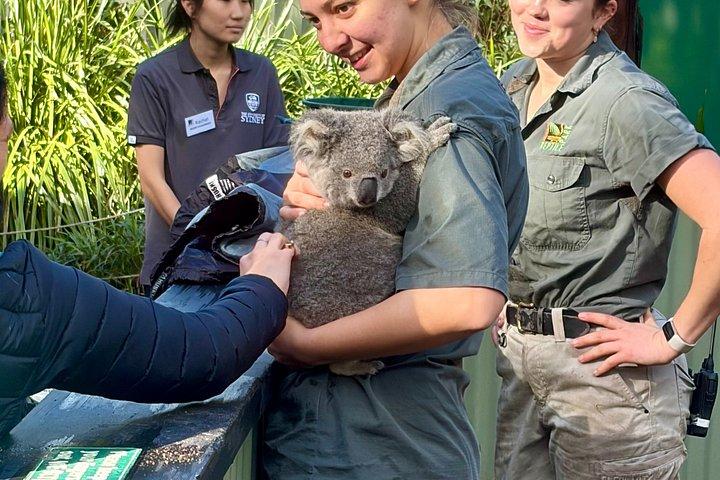 オーストラリアの爬虫類公園オプション付き、シドニーからのセントラル コースト プライベート ツアー