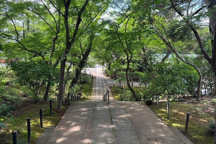 侍と花魁のダンスショーとインタラクティブな文化体験