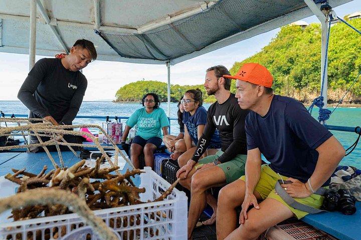 バリ島最大のサンゴ再生サイトでのサンゴ植物とシュノーケリング