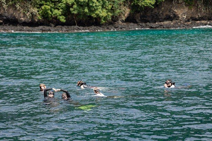 バリ島最大のサンゴ再生サイトでのサンゴ植物とシュノーケリング