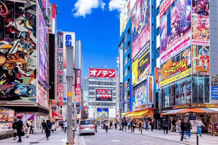 ガイド付き秋葉原ツアー アニメゲームとマンガを発見する