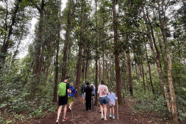 チェンマイ：ドイインタノン国立公園＋2時間のファンタスティックトレッキング
