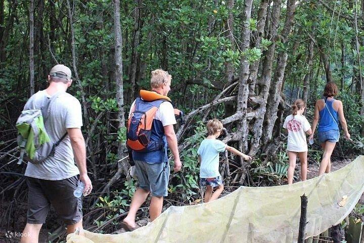 Explore Vam Sat Forest Safari with Private tour
