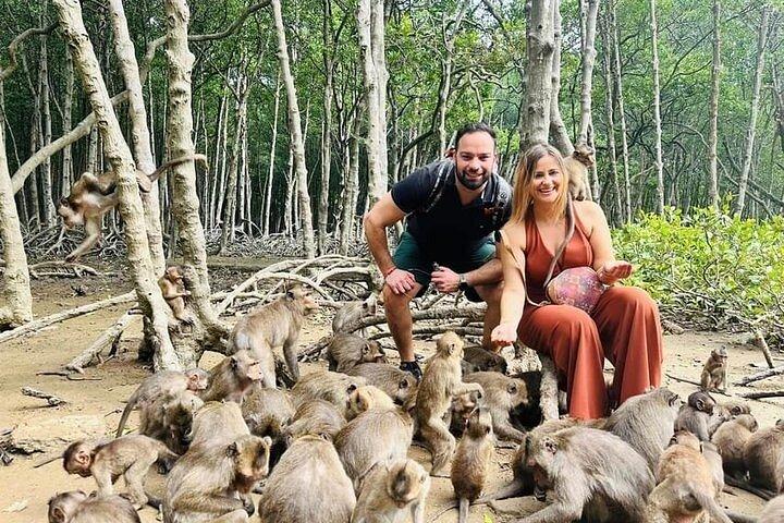 Explore Vam Sat Forest Safari with Private tour