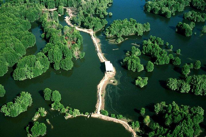 Explore Vam Sat Forest Safari with Private tour