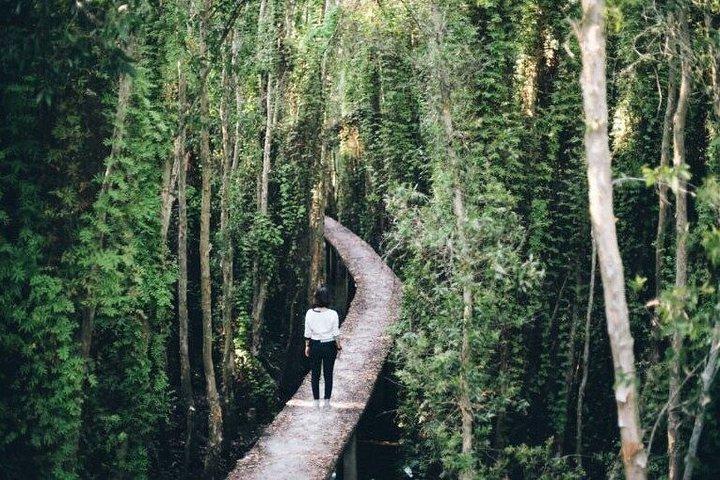 Explore Vam Sat Forest Safari with Private tour
