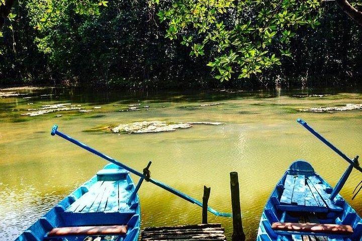 Explore Vam Sat Forest Safari with Private tour