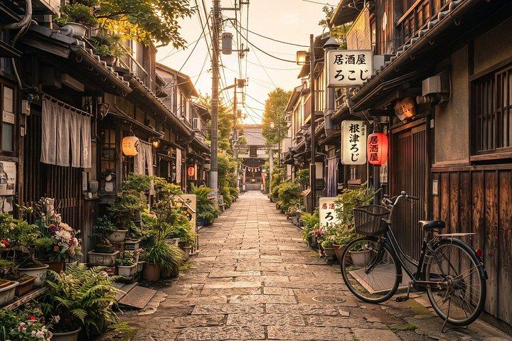 東京:根津神社&谷中散策ウォーキングツアー