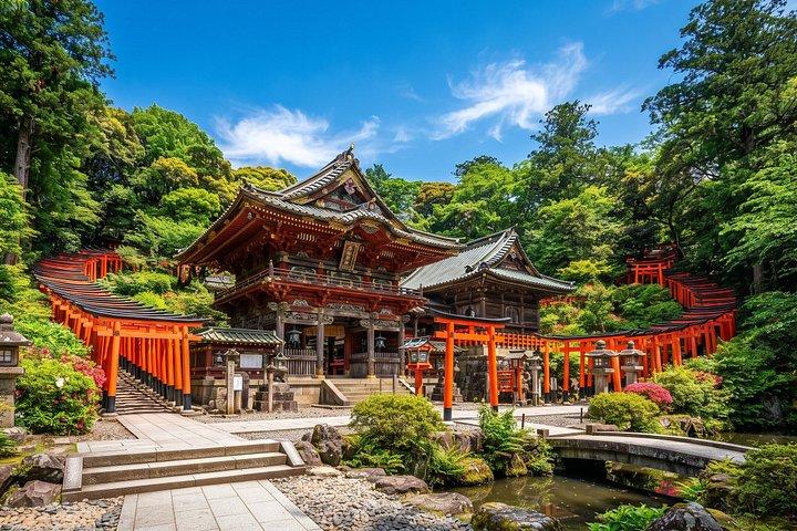 東京:根津神社&谷中散策ウォーキングツアー