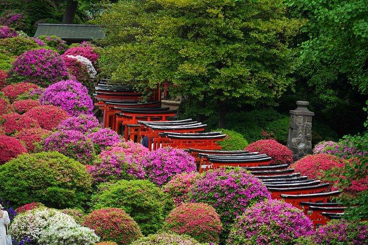 東京：根津神社＆谷中散策ウォーキングツアー