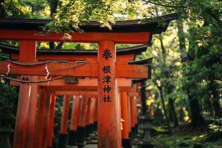 東京：根津神社＆谷中散策ウォーキングツアー