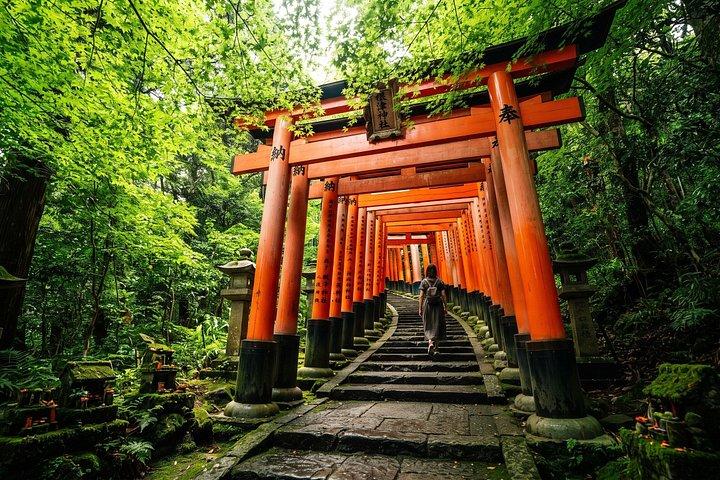東京：根津神社＆谷中散策ウォーキングツアー