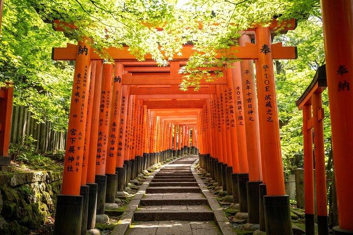 東京：根津神社＆谷中散策ウォーキングツアー