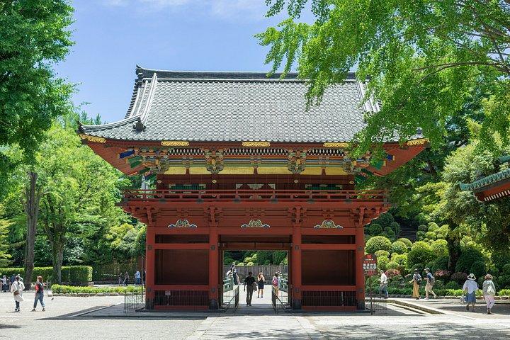 東京：根津神社＆谷中散策ウォーキングツアー