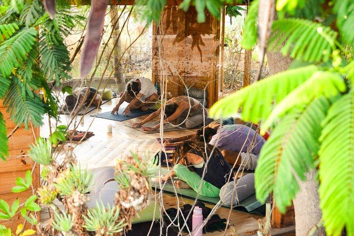 テネリフェでのソマティックヨガとチベットボウルサウンドヒーリング