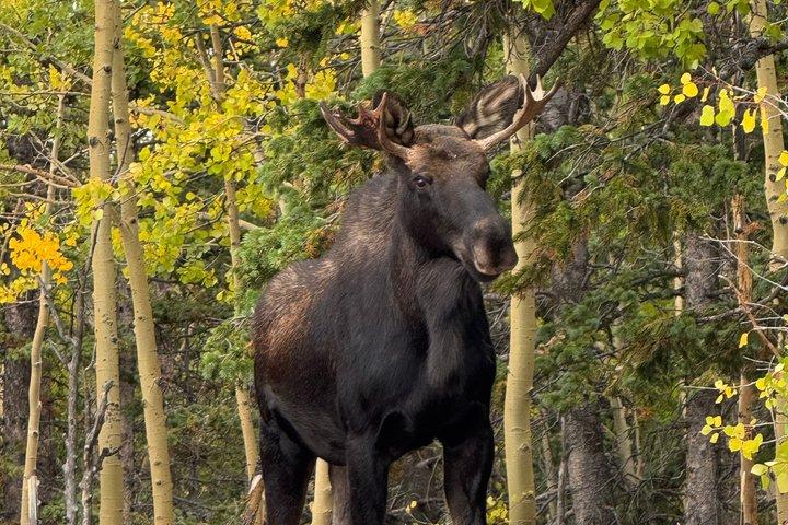 Colorado Springs Pikes Peak Excursions en jeep de luxe