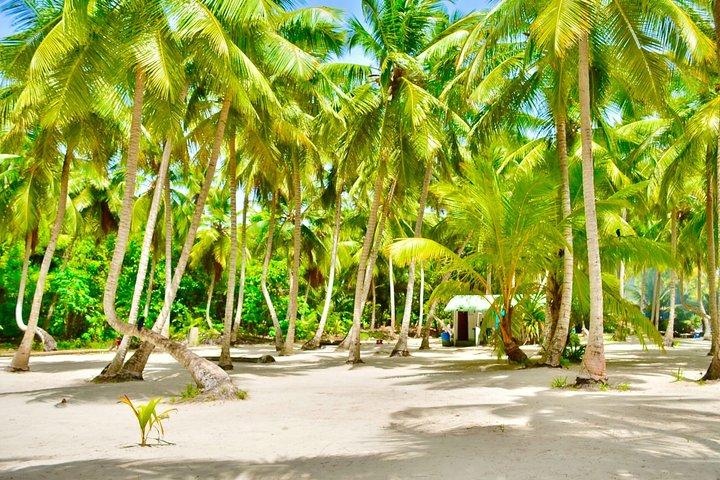 サオナ島カタマランでのランチとプンタカナからの送迎