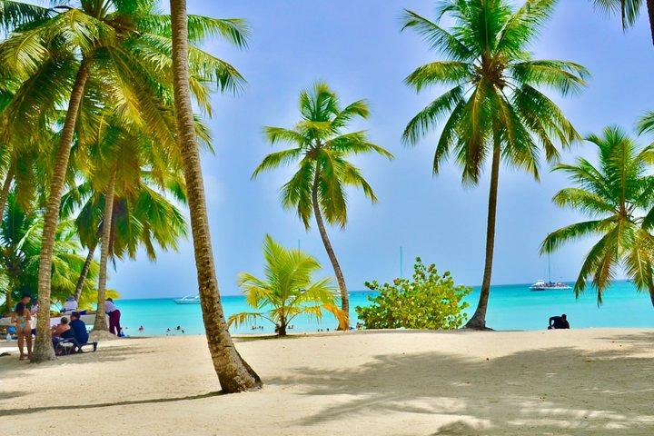 サオナ島カタマランでのランチとプンタカナからの送迎