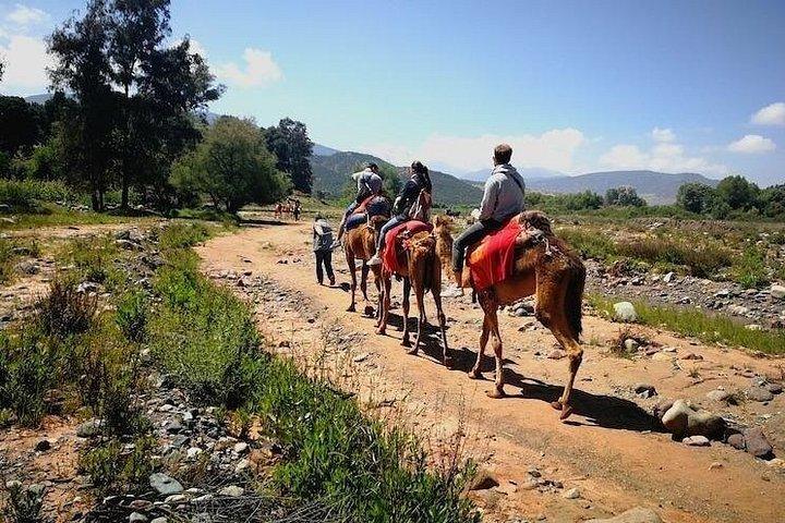 マラケシュからイミルとハイアトラス山脈へのプライベート日帰り旅行