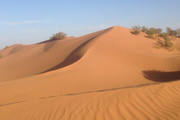 Agadir Jeep Safari 4x4 Desert Adventures with Lunch
