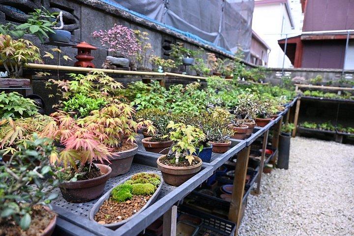 Tokoname Bonsai Pottery Tour with Three Master Artisans