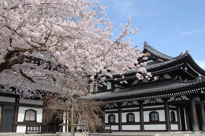 東京から鎌倉・江ノ島へのプライベート日帰り旅行