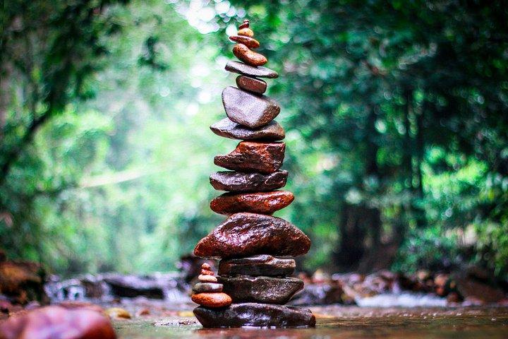 Sinharaja Rainforest Trail and Tea Valley 1Day Trip All Inclusive