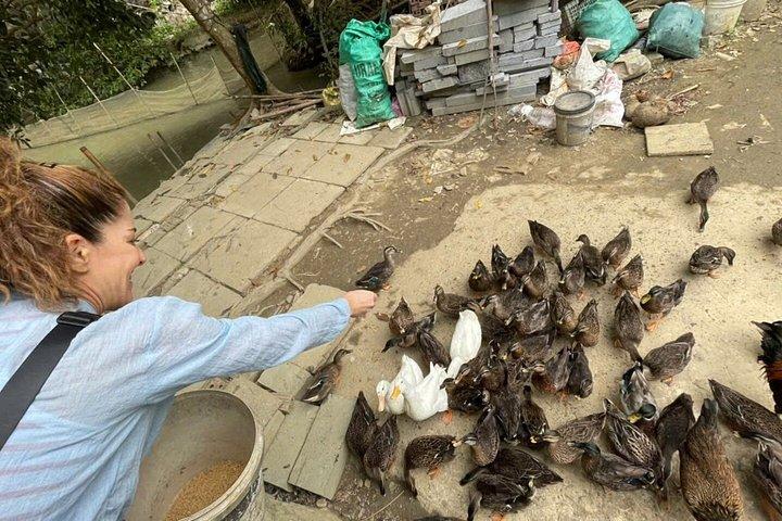タムコック・ヒドゥンバイクツアー：田舎の村、田んぼ、アヒル農場