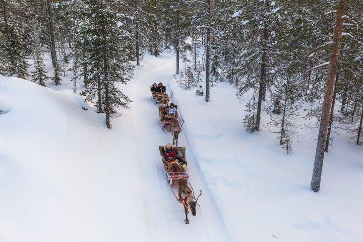 Santa Claus Village com Reindeer & Husky Ride