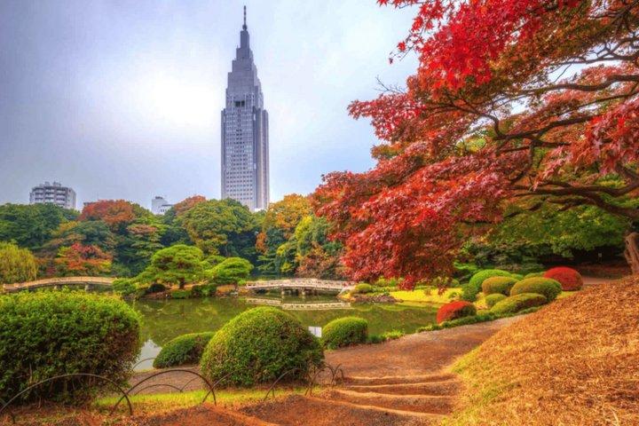 Tokyo Shinjuku guidet vandretur med Gyoen Garden billet