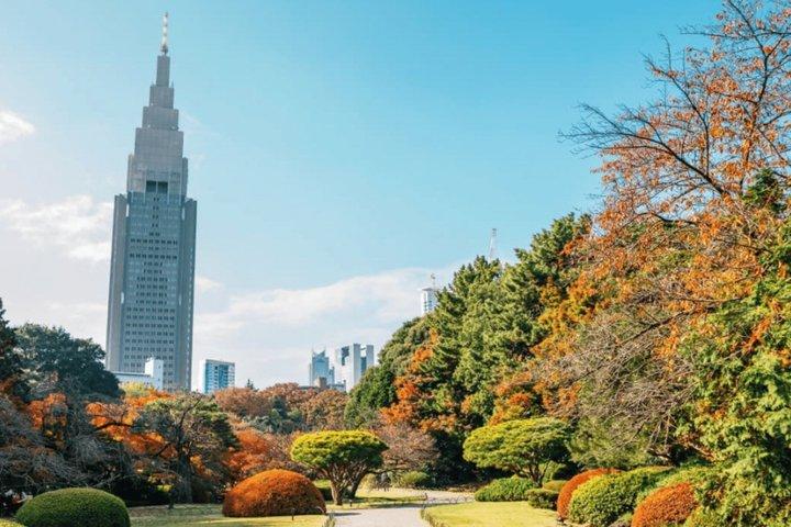 東京新宿ガイド付きウォーキングツアー（御苑ガーデンチケット付き）