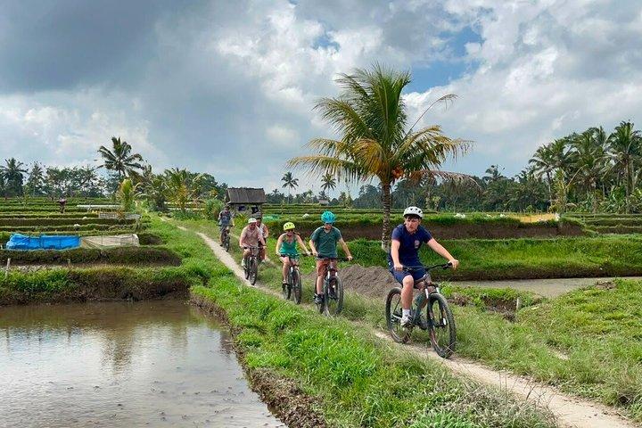 Privado Todo Incluido : Volcán a Ubud Tour en bicicleta cuesta abajo