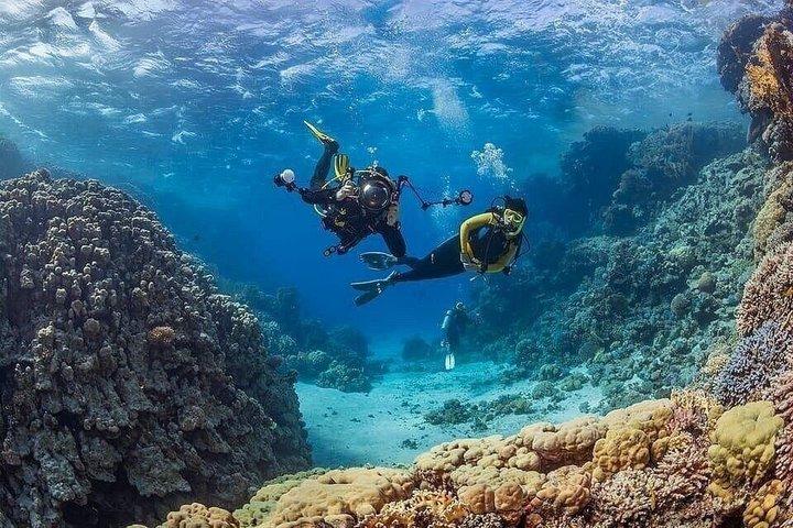 Antalya Scuba Diving - Two Dives W/lunch, transfer