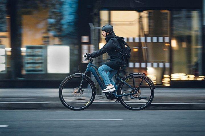 E-Bikeウィーンのドナウ川＆グリーンパークルート