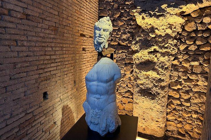 Roman Forum Pass with Domus Tiberiana Private Tour