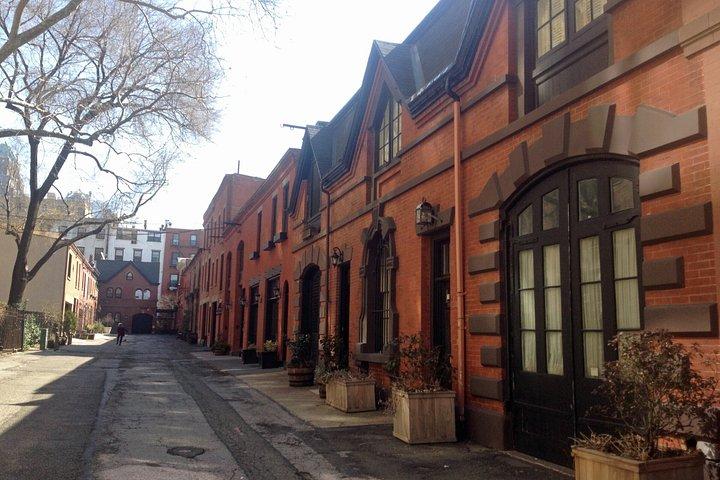 Tour a piedi di Brooklyn Heights e Dumbo (Privato)