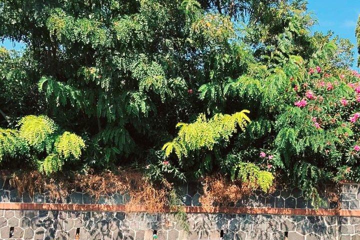 Pompeji, Amalfiküste Tagesausflug von Rom mit Auto, Suv oder Van