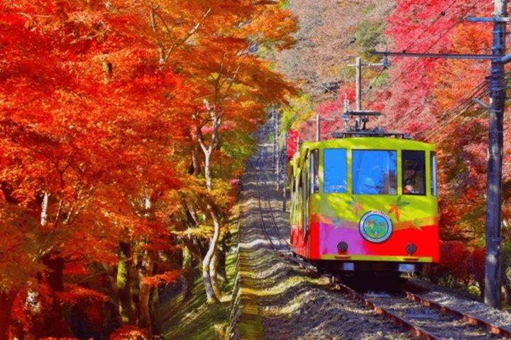 Fra Tokyo Private Full Day Tour til Mt Takao og Kawagoe
