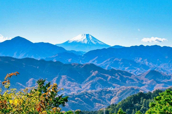 東京プライベート全日ツアーから高尾山、川越へ