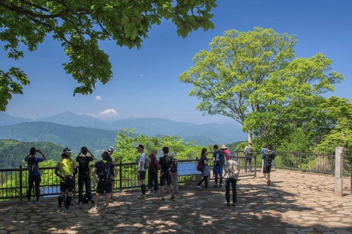 東京プライベート全日ツアーから高尾山、川越へ