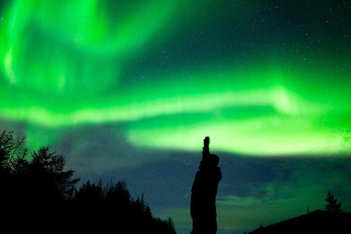 Rovaniemi: 100% pengene tilbage garanti Nordlys - Lille gruppe