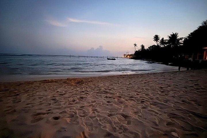 Private Sri Lanka Transfer with Professional Driver